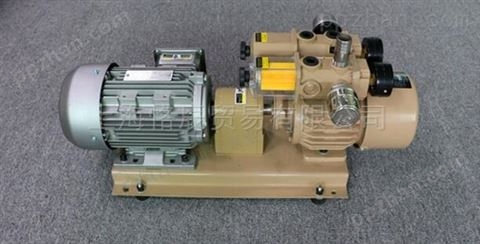 现货供应WZB25/WQB25-P印刷机泵