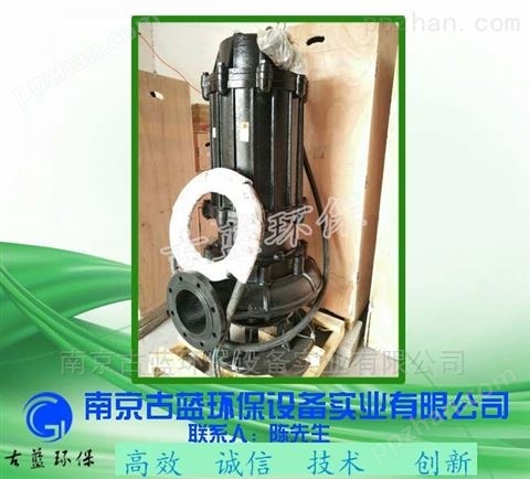 AF0.75双绞刀泵